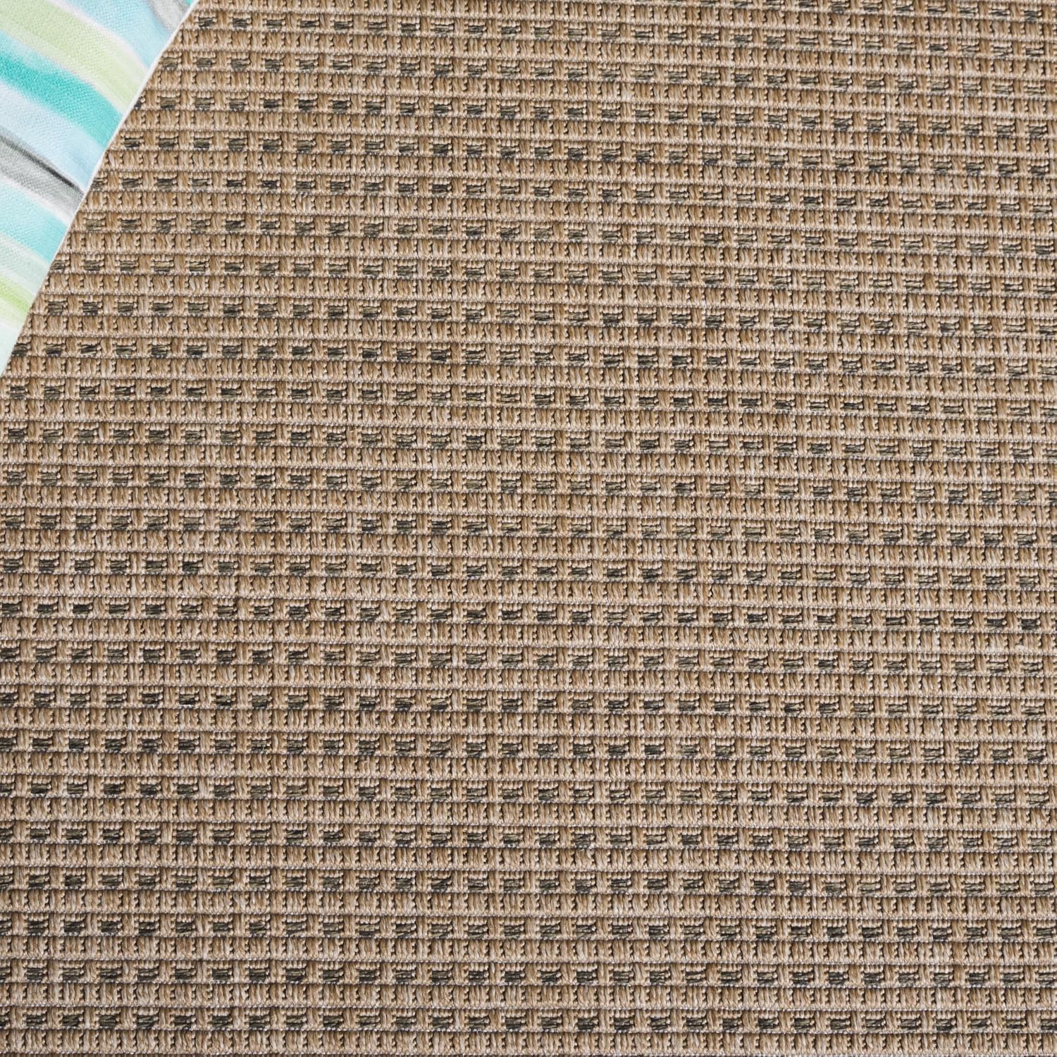 SAFAVIEH Natural Beige Sisal Outdoor Rug